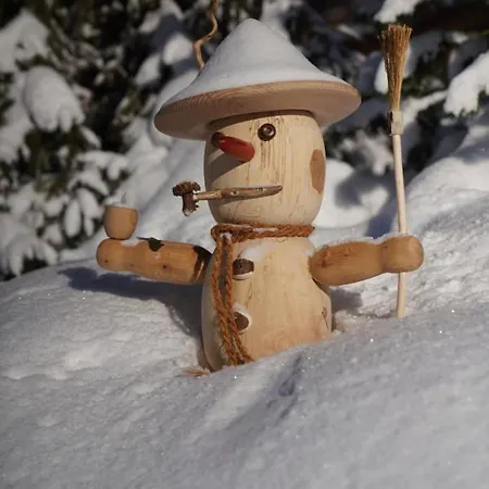 Astergut Boutique 4* Saalbach-Hinterglemm